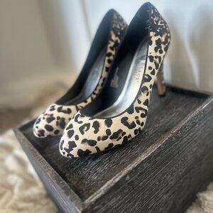 Cheetah Heals